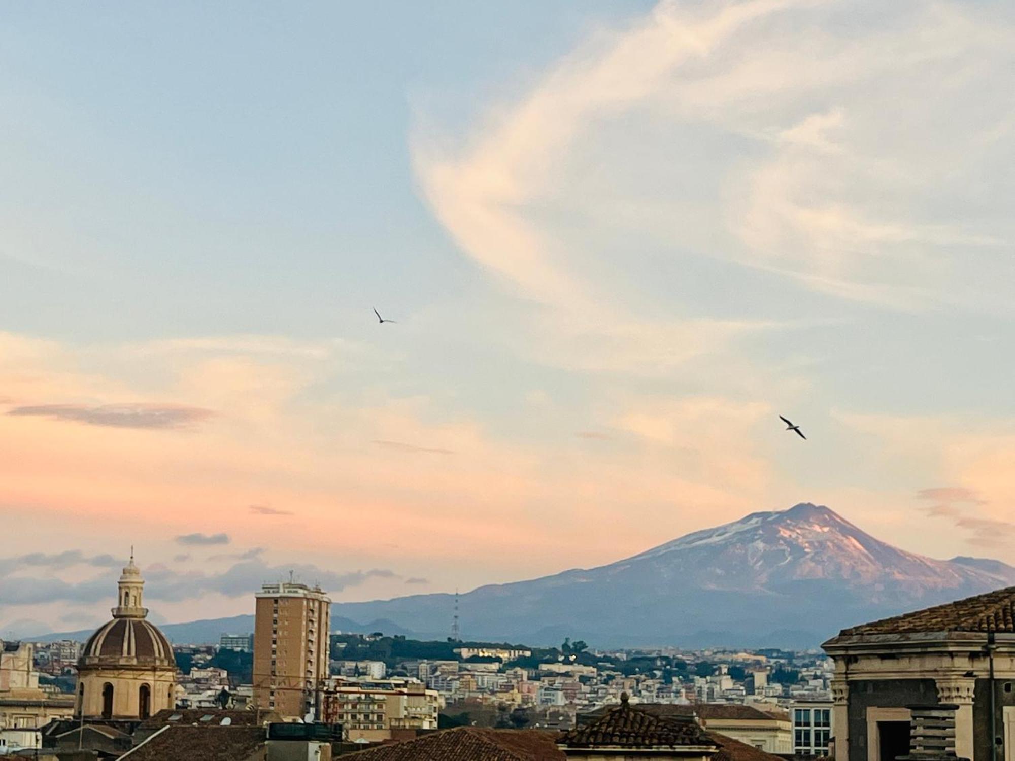 La Terrazza Di Sant'Agata Διαμέρισμα Κατάνια Εξωτερικό φωτογραφία