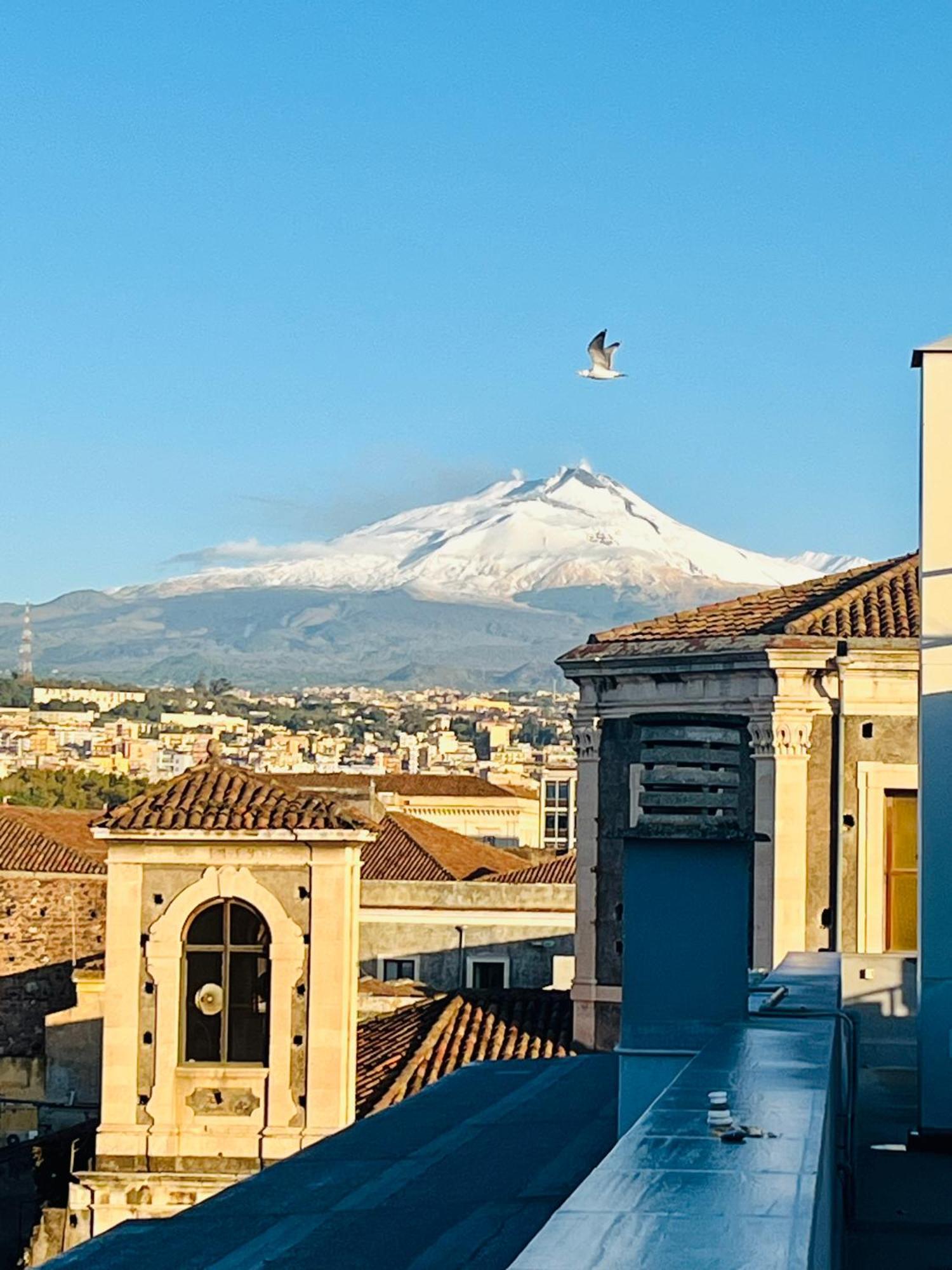 La Terrazza Di Sant'Agata Διαμέρισμα Κατάνια Εξωτερικό φωτογραφία